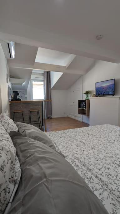 2E Grand Studio Agen Hyper Centre - Clim - Jacobins Eksteriør bilde
